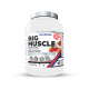 BIG MUSCLE XXL 2.721 GR CARBOHIDRATOS