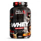 ADVANCE WHEY 2 KILOS CORE SERIES